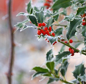 aecf2a1d009ed6c13f591372055c1ab6