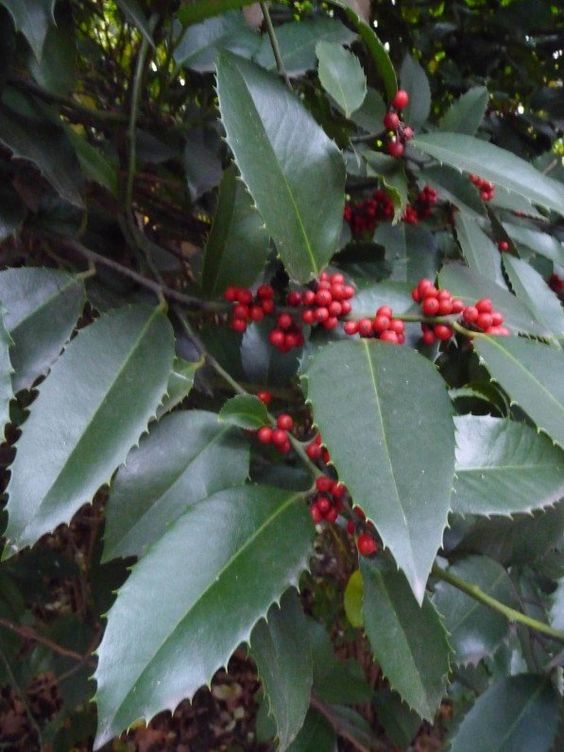 b64a9b4c869254a7fbef87504254a656