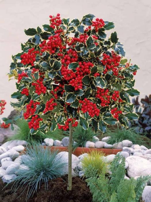 c106e9ef2ce3942040d79ec6afbc7eca