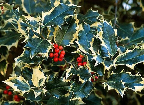 e21f7ee90953b0fa898c199428d7c2d3