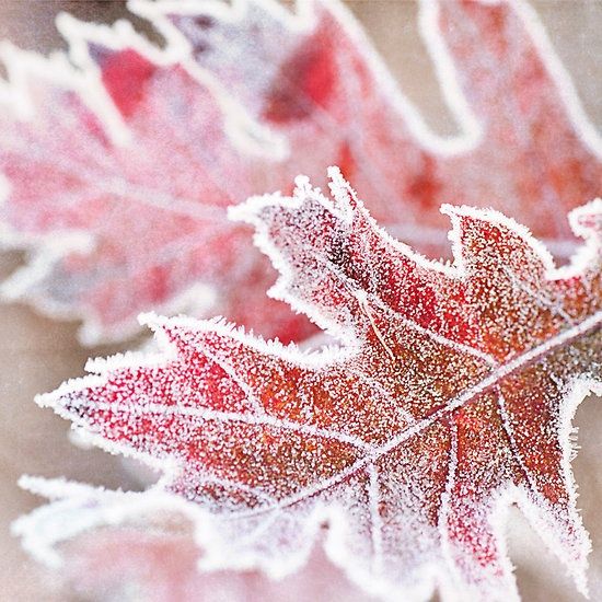 025ab85e212127431bc66dfb233e75c5