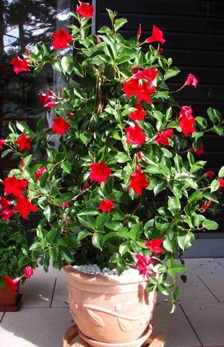 04e9f029e67e69388d6707fd50e1e8f8