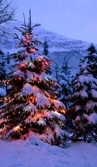 0964f6a2c9c53325b92f5d660ea084b7