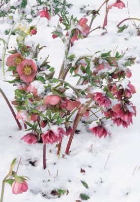 340906b8cf815f26edfb1de0ca47a083