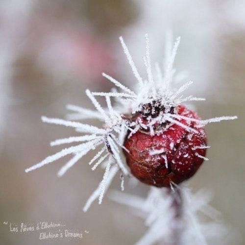 36b6cf8c954574e383a39dbc324021f4