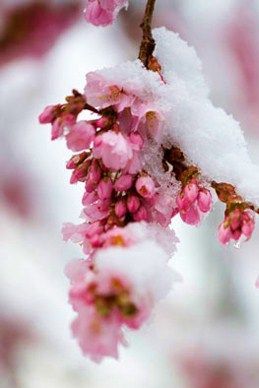 406c60d4939d09220eebc4f57703a7da