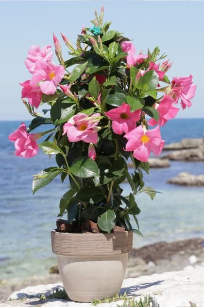 55ed8609989c9f6834bc0221d0889526