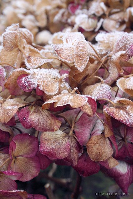 6b958c44a3f9ba82848a093ae48cb24b