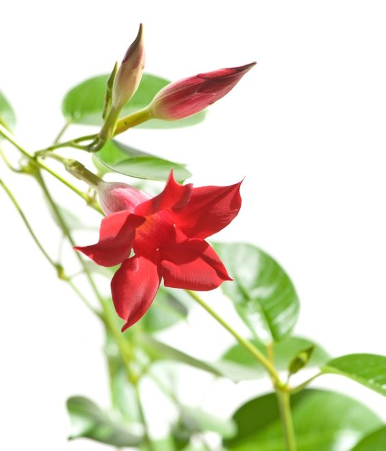 8628f1a7b7119b175f29a34d4d1fa09e