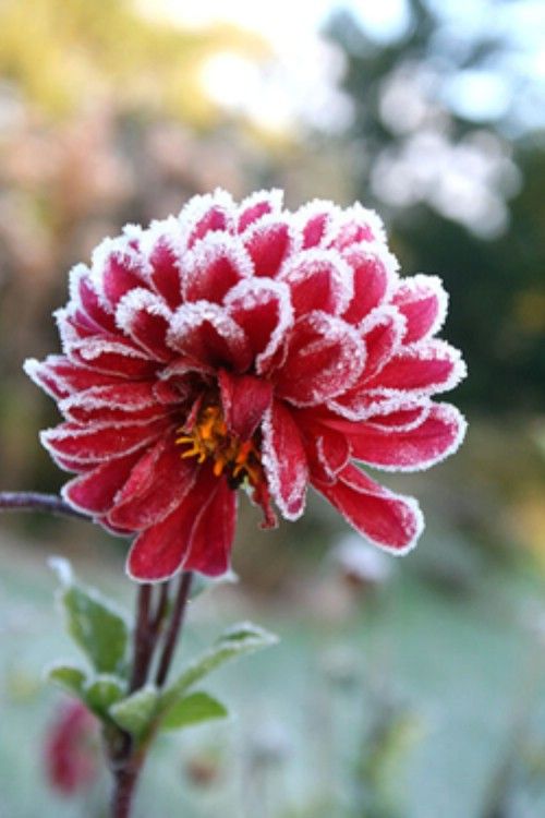 87ab70417870cd055e2b06d0f2ef2c02