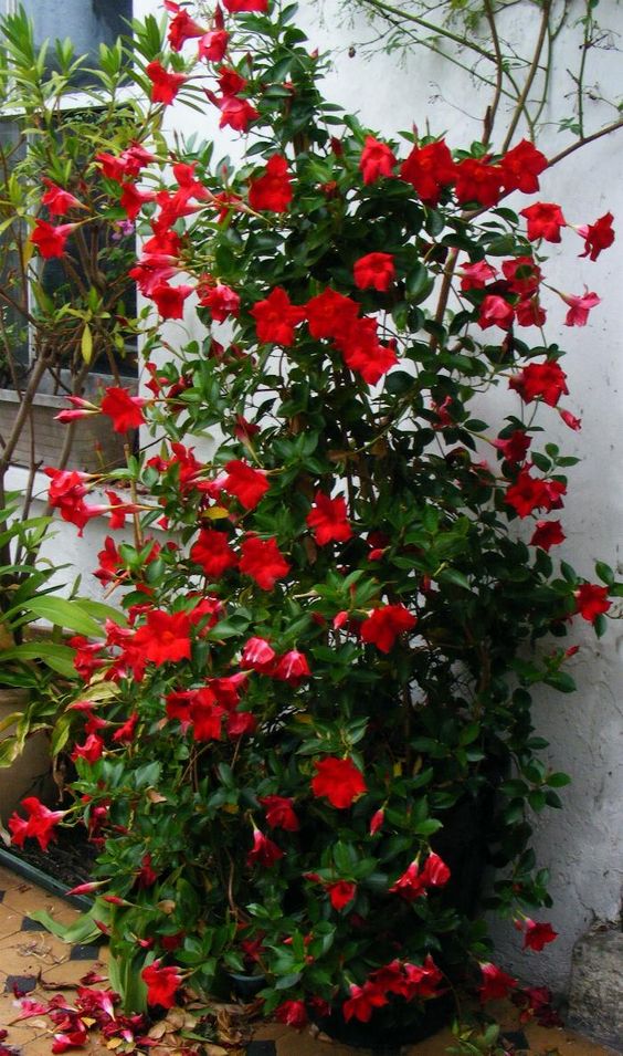 8b06187cac46193ca582e40b22267ef6