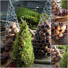 9976ae9b3371ac75cd99564b4abbc31d