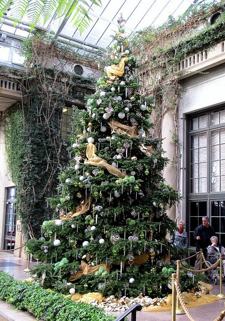 9a97cd269e1a3f40ef539f17ab79787b