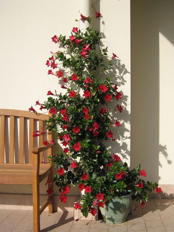 bac853911e93b577a0dc830787ecd0cb