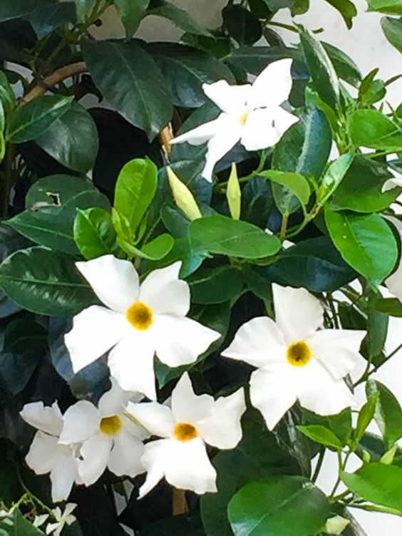 d8b4b32fc2a35c3e07f13b6d8de343b1