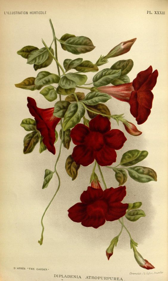 db32d396e7f25c6c8bdae3a4c4960622