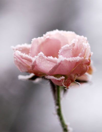 ec0fe4dd516f672d5778669efa3f97a9