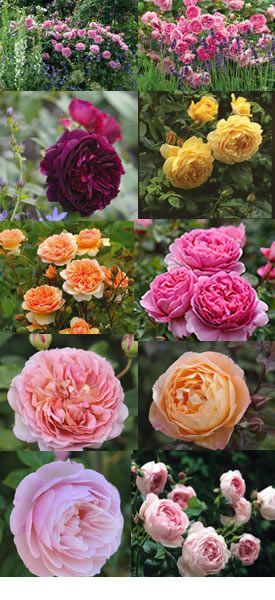 02092c07d942f5b2cf8e07e28aa9450c