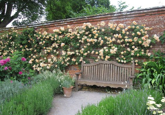 22b7c6e00c7ed7b710b43b9af570dacb