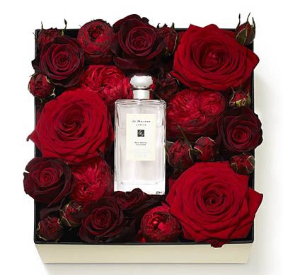 2a702e8c0970d352a5609636d8a2a434