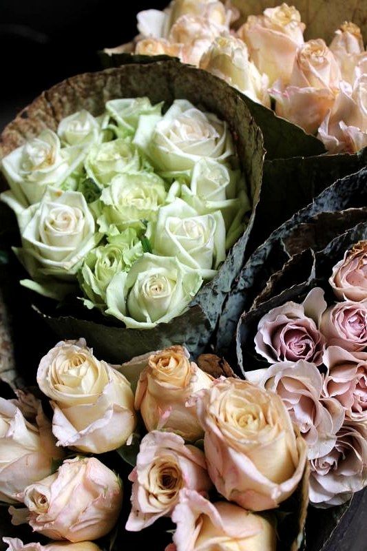 2d31e10652b0bf46a57ea548c6a4424a