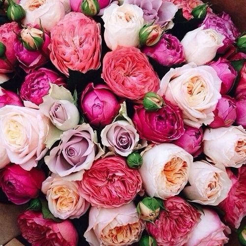 31752ecc3e4bf24dbc0910e3c860a8b0