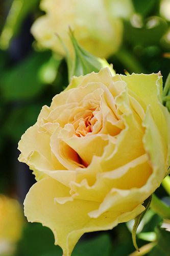 463c57e6251844cb128d73fac6c6be04