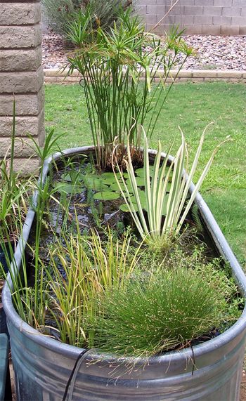 46ea3a508c530c1769b4e9b94f9d840f