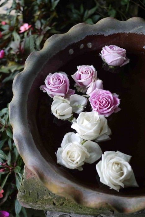 52b804b057edd83ea20351993eb71b7e