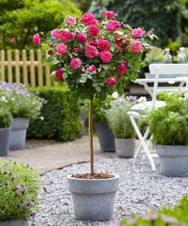 57201bf0c0ff88bdf1d60320c0aa5c0f