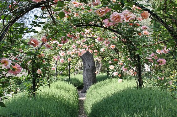 6218ed39ece23809cd3a46a5b58f23da