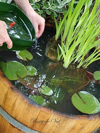 699faf4715cff97369d18c703a7a05e3