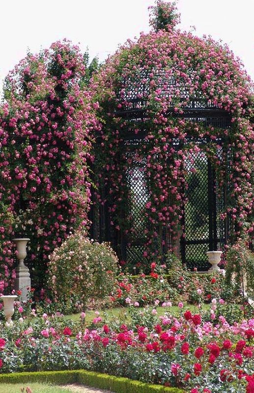 6d010aa2632e4daa4e966975e478a17b