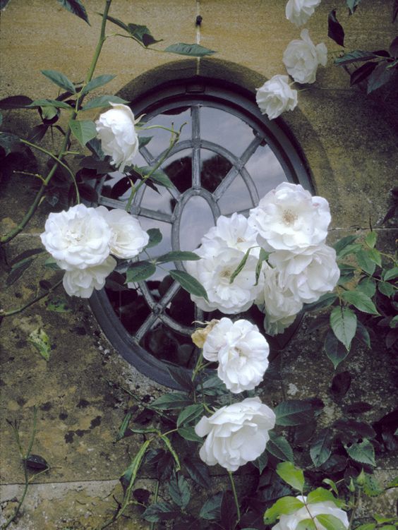 9a65d5f5dc48014adbb8865fd3169eab