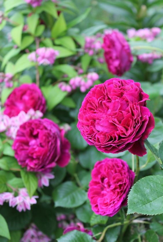 9ac492ee443f937f9f73d8323faf98e6