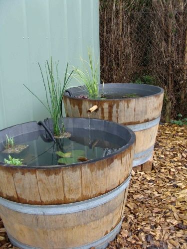 a483828b090ba8ea1d1562d707e1501b