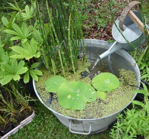 a9a133362423666163a5c0be21fedba8