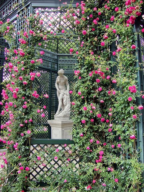 b6018bb3afe65816c05773d1e725ae8b