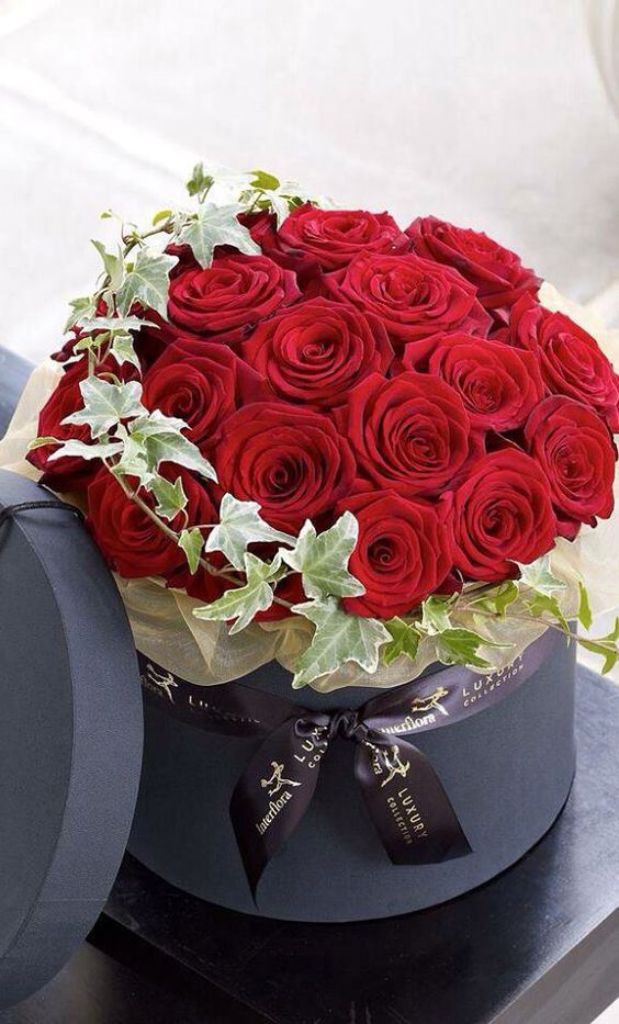 cf333ad1b53e4e92577cce9a72826549