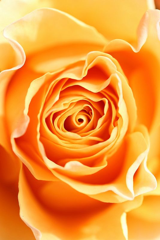 d1d86c23ee29004364a8dc252bc24dd4