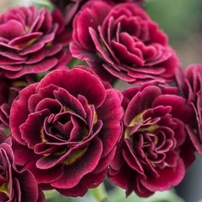 e12953811be70073b616d765d10df6e3