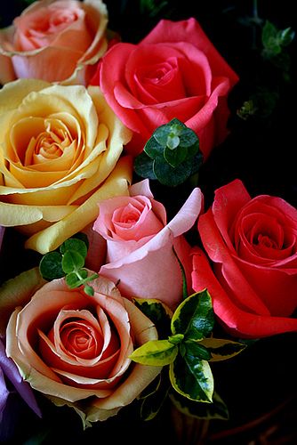 ea011b6d70b630cf8040e8f0f11e4528