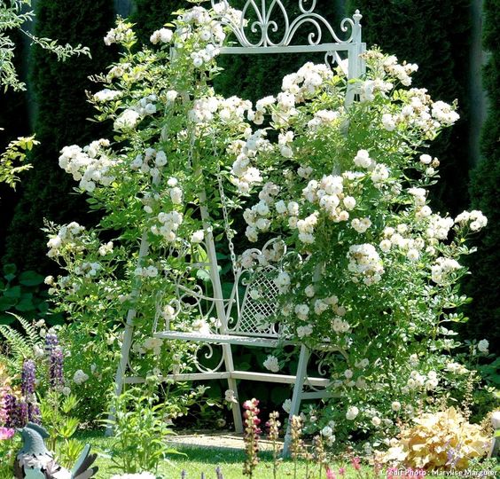 f9fd9f7408262275799523deee53e5d9