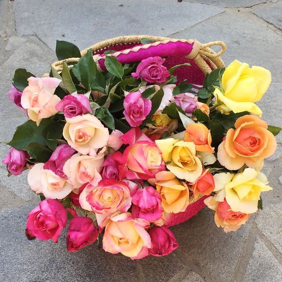 fa1795f63f9dad508fe8b5b57a36bd93