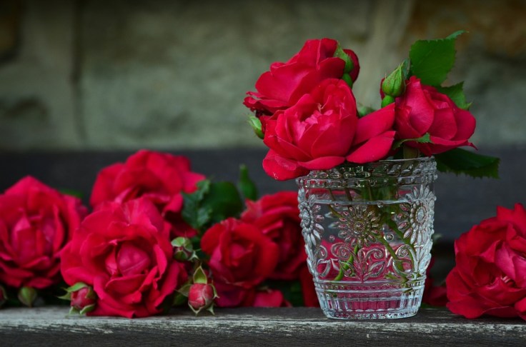 roses-821705_960_720