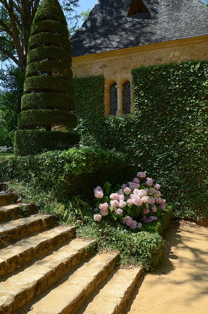 31c7761defad7859d6bfd12cff300540