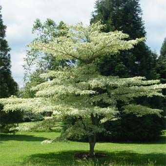 568f1124e516f67c3551c2dd21b1d257