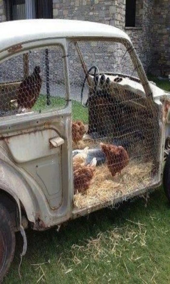 84eb75565cdbfbe57a7eebb46cf6109a