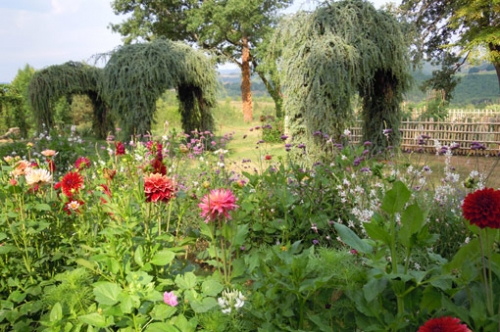 c9b002fe1bb0320831a8ae78670fdb6f_l