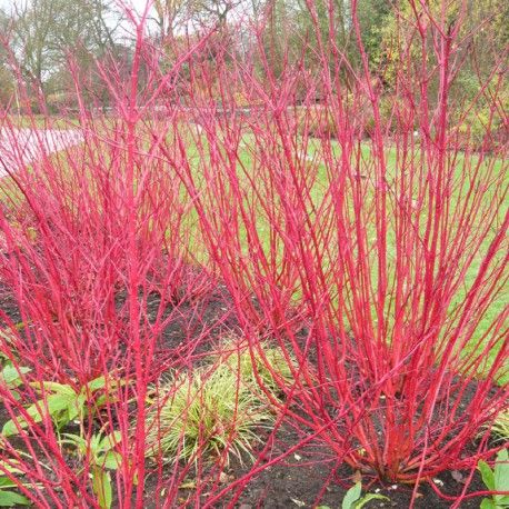 e1548008d83a575634292efb993d0e4a